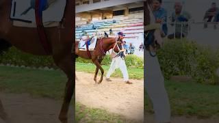 #horseracing #krc #horselovers #sports #ehtishammurtaza #youtubeshorts YouTube