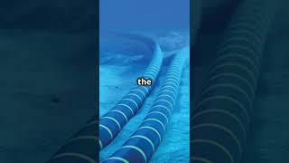 Baltic Sea cable #shorts #new #trending #news