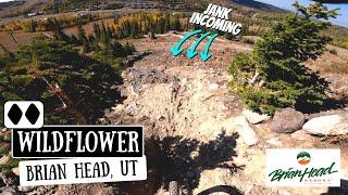 Wildflower DH Full Trail POV | Brian Head Bike Park | 4K | 2020