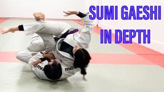 Sumi gaeshi in depth