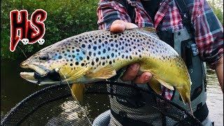 Hook Shots: Michigan Trout All Day, All Night