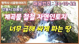 (24. 10. 22) 급매. 안동호 인근  저렴한 토지. 사정 임야는 덤!!