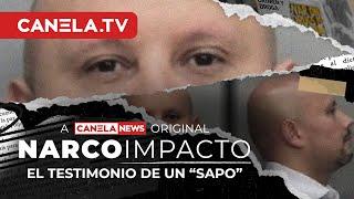 El Testimonio de un "Sapo" | Narco Impacto - Episodio 10 | Canela.TV