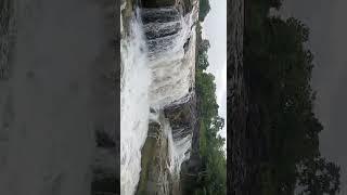 pochera waterfalls Adilabad district #shorts #trending #shortvideo #nature