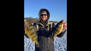 Mississippi River Jumbo Perch: Lake Onalaska and Airboat Trip! #fishing #icefishing #perch