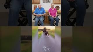 Dr. Pol Reacts - Rollerblading Rodeo with Horsepower!  #drpol #farmlife #rollerblading