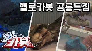 헬로카봇 공룡 특집! Hellocarbot  Dinosaur Episode