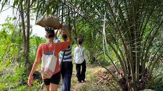 Farming in Gomoa Brofo, a rural Ghanaian village - Traveling Ghana