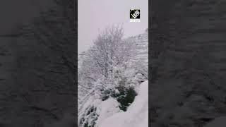 J&K: Fresh spell of snowfall blankets Kotranka Budhal area of Pirpanjal Range in Rajouri