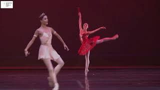 XXVII International Ballet Festival of Miami: Etoiles Classical Gala at the Adrienne Arsht Center