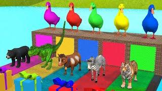 Long Slide Game With Lion Elephant  Cow Gorilla Zebra T-rex  Tiger 3d Animal Game Funny 3d Animals