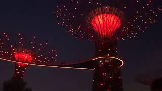 Garden Rhapsody at Gardens By The Bay Singapore [FULL SHOW] - FULL HD 