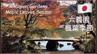 東京最適合又容易抵達賞楓葉的地方️六義園【Rikugien Gardens 六義園】