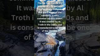 What is a Elk Hair Caddis Dry Fly