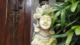 Walking Around Penestanan Village in Ubud, Bali, Indonesia / Walk 50