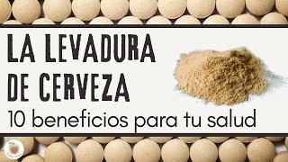 LA LEVADURA DE CERVEZA. 10 Beneficios para TU SALUD