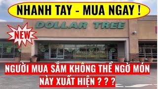 BẤT NGỜ ! NGƯỜI MUA SẮM KHÔNG TIN MẶT HÀNG NÀY LẠI XUẤT HIỆN TẠI TIỆM DOLLAR TREE ! CUỘC SỐNG MỶ65