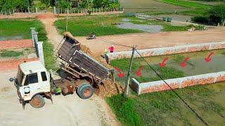 Full Project!!! Efficient Land Filling Today: KOMATSU D20P Bulldozer Pushes Soil with Trucks!