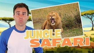 Safari Adventure Video! Run Through The Jungle!