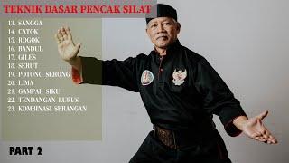 Practice These Pencak Silat Moves to Improve Your Skills!