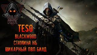 TESO. Blackwood. Стам НБ. Шикарный ПВП билд