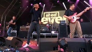 SHED SEVEN - Disco Down (Live)