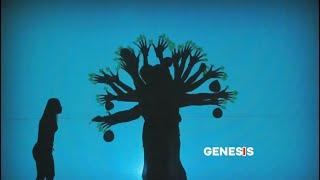 SHADOW SHOW | The CREATION | Shadow play | #genesis  #shadow #bible