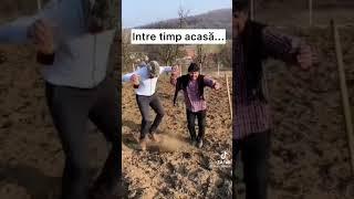 Mitică dansează