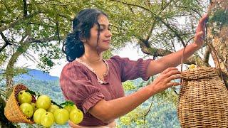 Indian gooseberry  Picking & Cooking | Beautiful rustic lifestyle