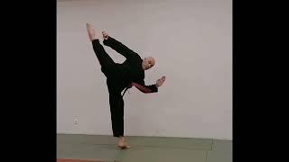 Otoshi mawashi geri. Tenkido Karate.