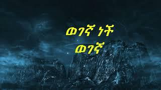 Zerubabel Molla wegegna nech lyrics ዘሩባቤል ሞላ ወገኛ ነች ከ ግጥም ጋር