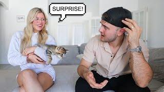 SURPRISING MY HUSBAND WITH A NEW CAT FOR OUR ANNIVERSARY..