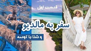 با کوسه ها شنا کردم | ولاگ سفر به مالدیو اونم به صورت اقتصادی | جزیره مافوشی