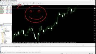 MT4 Enable AutoTrading (Auto Trading)