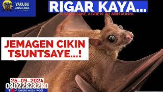 Rigar Ƙaya 25-07-2024: JEMAGEN CIKIN TSUNTSAYE...! Yakubu Musa Fagge