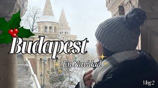 BUDAPEST EN NAVIDAD ---QUE VER EN BUDAPEST EN UN DIA ---BARRIO DE BUDAVLOG 2