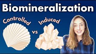 Biomineralization (Pt 1): Biologically Induced vs Controlled Mineralization | GEO GIRL