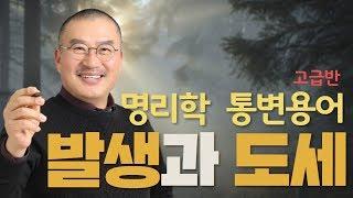 창광 명리학 공부 통변 용어 해설 | 발생 과 도세