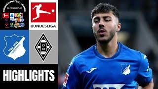 TSG Hoffenheim vs Borussia Mönchengladbach 15.Spieltag Bundesliga Highlights