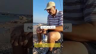 عجينة صيد البوري القوية والسريعة التحضير  #صيدالسمك #fishing #صيد