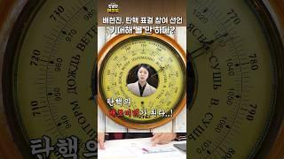 국민의힘의 시계추 배현진? ㅣ#안철수 #박진영 #노영희