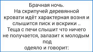 Опытная Тёща и Голубая Метка!!! Смешная Подборка Анекдотов!!!