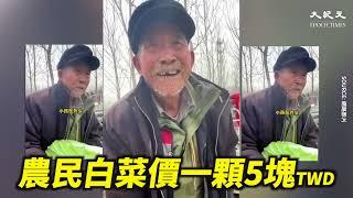 【焦點】中國底層民眾生活艱難農民賣白菜1塊錢6斤  | 台灣大紀元時報