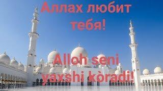 Аллах любит тебя! / Allah seni yaxshi kòradi!