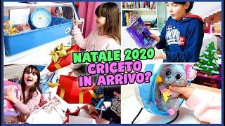 Natale 2020 regali e... criceto in arrivo?