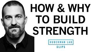 The "3 by 5" Protocol: How & Why to Build Your Strength