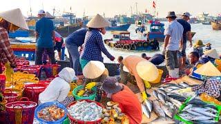 Cảng Biển Lớn Nhất Lagi Bình Thuận | Lênh Đênh Nghề Chèo Đò Bằng Chân