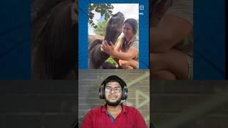 Reaction Video  | Raabi |