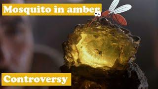 Mosquito - the most iconic inclusion in amber