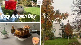 Cozy Autumn Day /Baking a cake with my little boy, cute bunny skills/